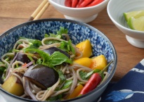 Soba Noodles with Eggplant and Mango